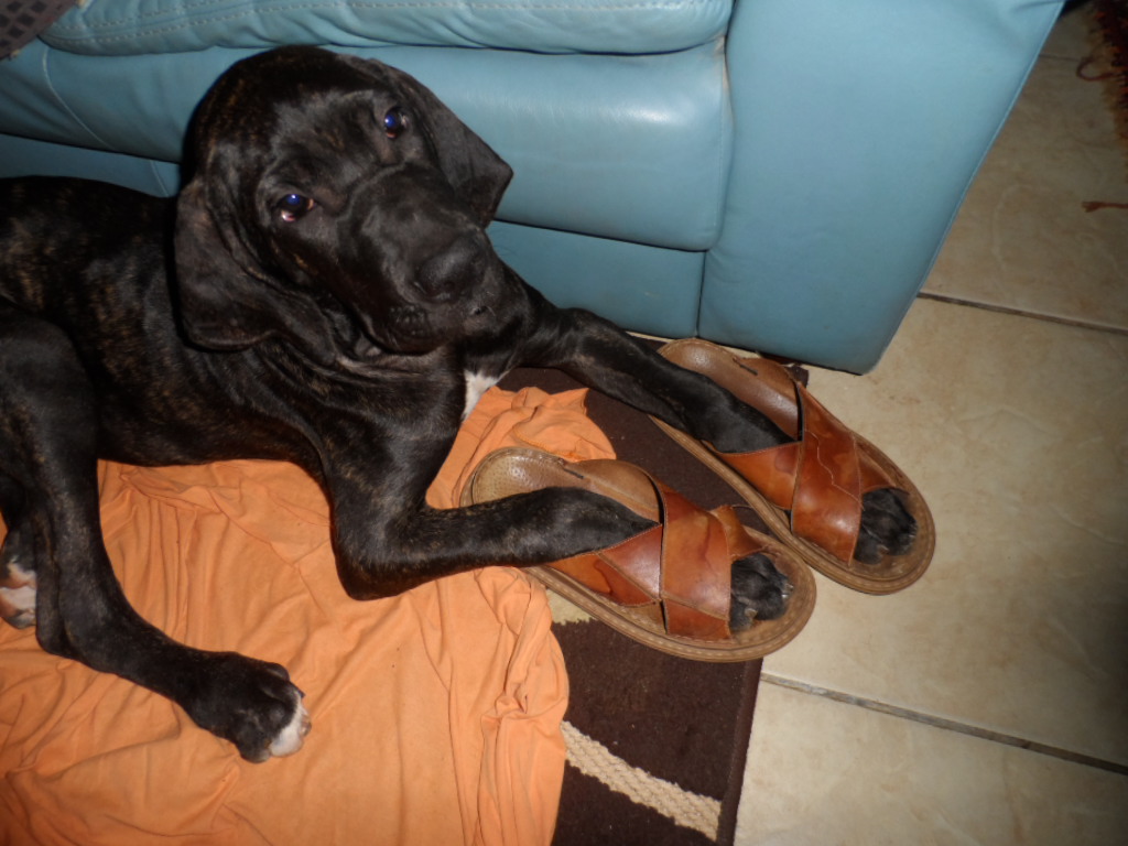 Erst Regen, jetzt goldener Herbst