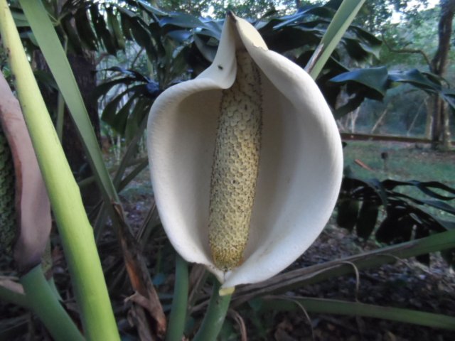 Erst Regen, jetzt goldener Herbst