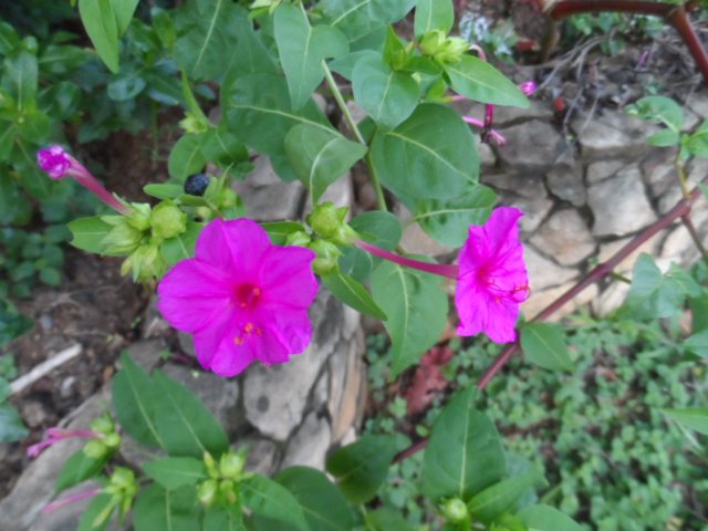 Erst Regen, jetzt goldener Herbst