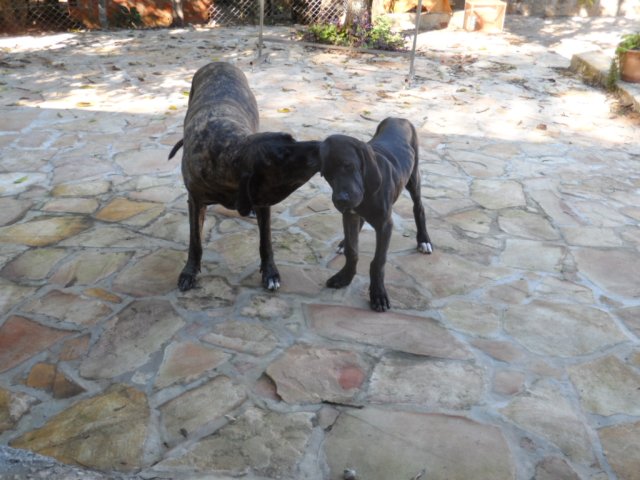 Erst Regen, jetzt goldener Herbst