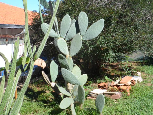 Erst Regen, jetzt goldener Herbst