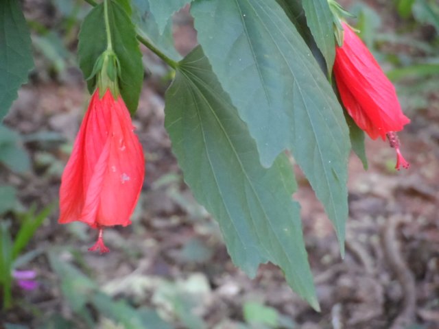 Erst Regen, jetzt goldener Herbst