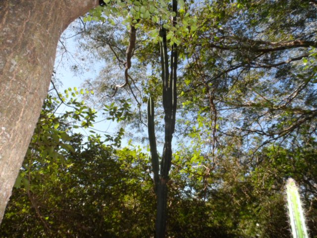 Erst Regen, jetzt goldener Herbst