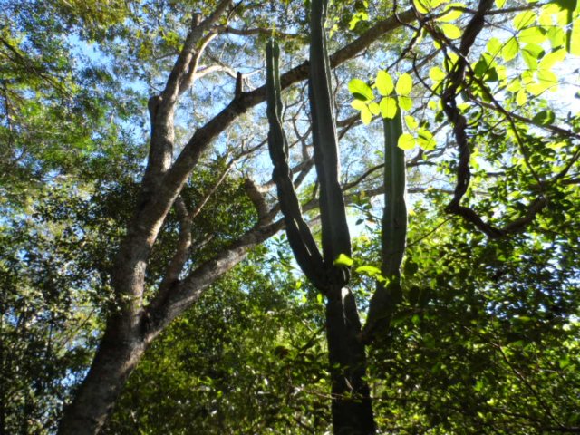 Erst Regen, jetzt goldener Herbst