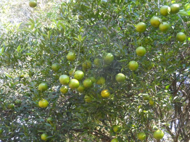 Erst Regen, jetzt goldener Herbst
