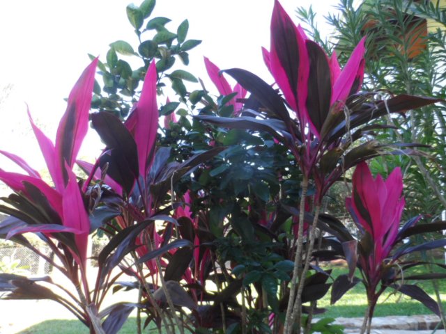 Erst Regen, jetzt goldener Herbst