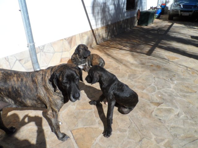 Erst Regen, jetzt goldener Herbst