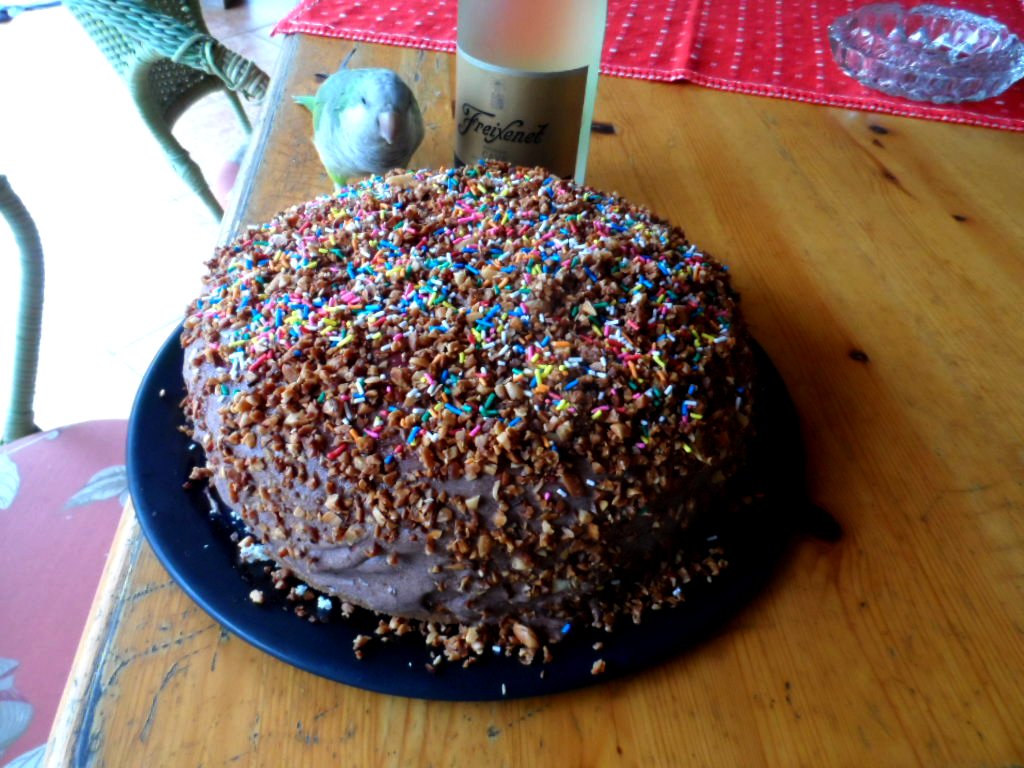 Die glücklichsten Menschen der Welt