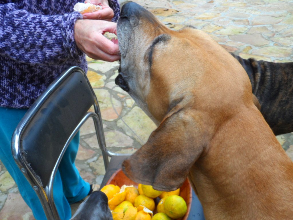 wegen Fußball und so, 5 Monate und nur Blödsinn im Kopf