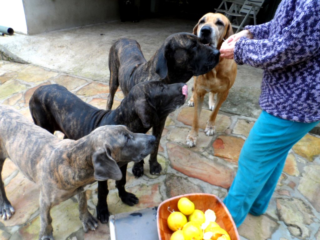 wegen Fußball und so, 5 Monate und nur Blödsinn im Kopf