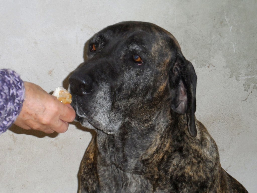 wegen Fußball und so, 5 Monate und nur Blödsinn im Kopf