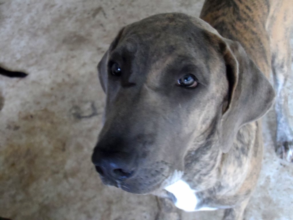 wegen Fußball und so, 5 Monate und nur Blödsinn im Kopf