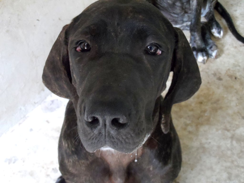 wegen Fußball und so, 5 Monate und nur Blödsinn im Kopf