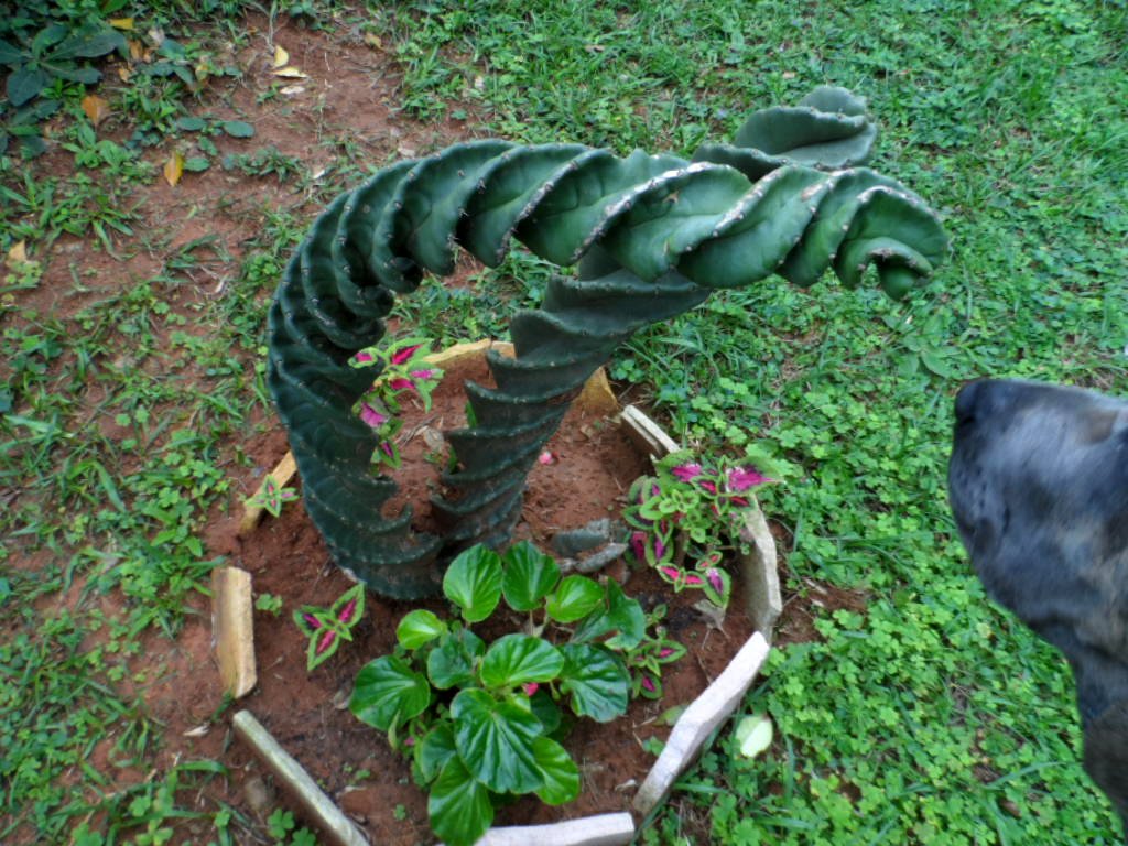 wegen Fußball und so, 5 Monate und nur Blödsinn im Kopf