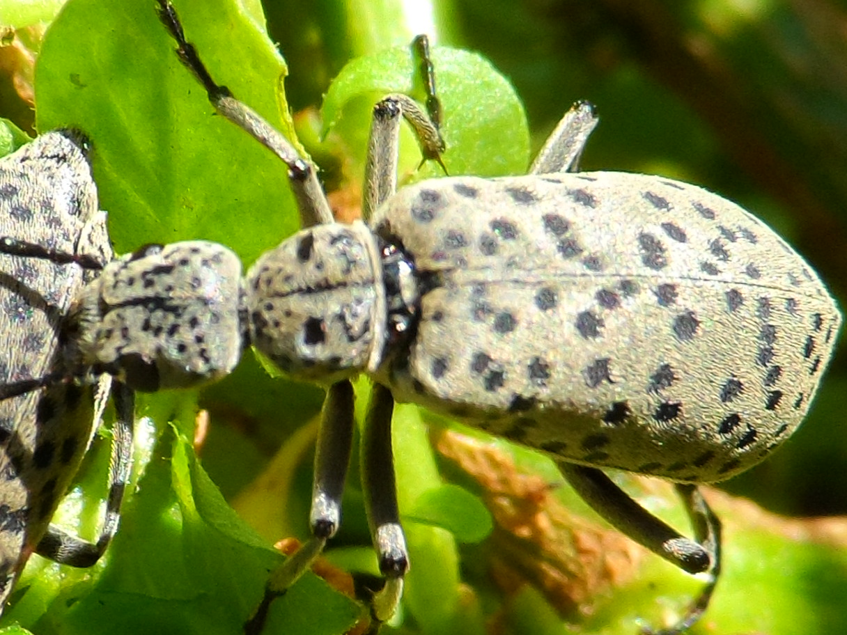 Teil 2 Tiere in unserem Garten