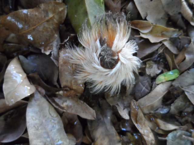 unsere Tierwelt im Garten
