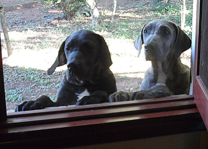 Mandarinengelee, Flitzepiepen und noch Fußball