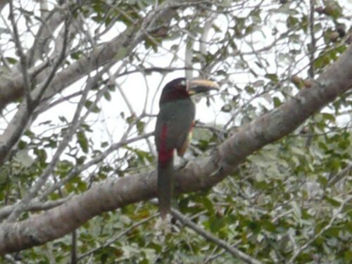 Teil 2 Tiere in unserem Garten