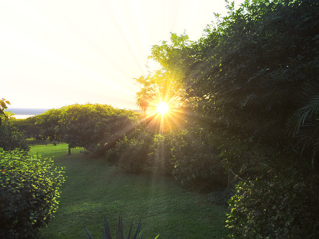 El Gaucho und die Rester