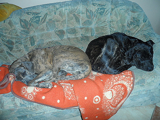 Der Augustmond über Altos Paraguay