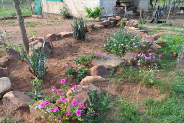 Ein Paradies für Tiere