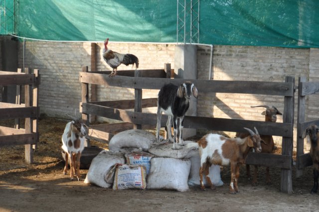 Ein Paradies für Tiere
