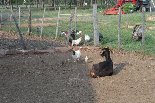 Ein Paradies für Tiere