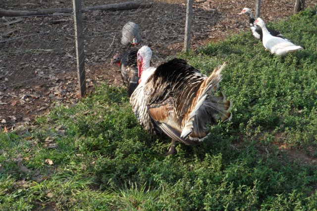 Ein Paradies für Tiere