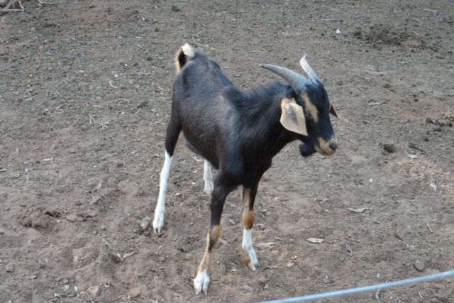 Ein Paradies für Tiere