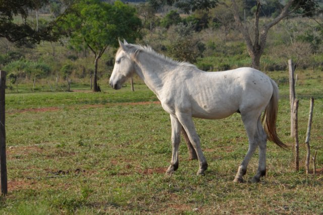Ein Paradies für Tiere