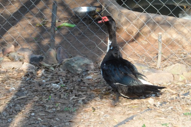 Ein Paradies für Tiere