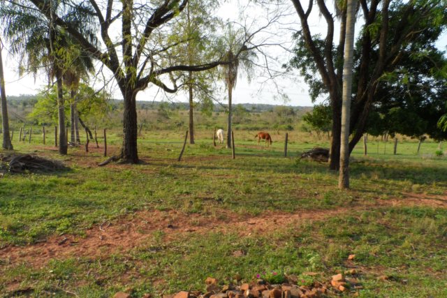 Ein Paradies für Tiere