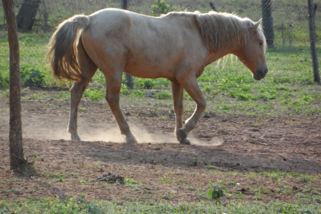 Ein Paradies für Tiere
