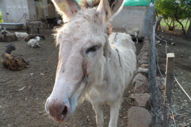 Ein Paradies für Tiere