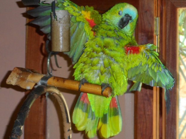 Ein herrlicher sonniger Freitag in Paraguay