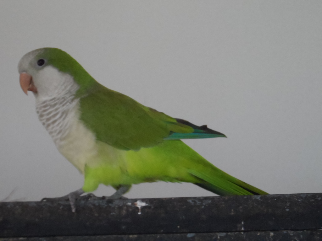 Ein herrlicher sonniger Freitag in Paraguay