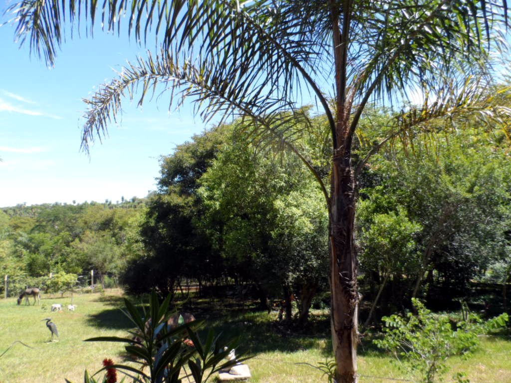 Ein herrlicher sonniger Freitag in Paraguay