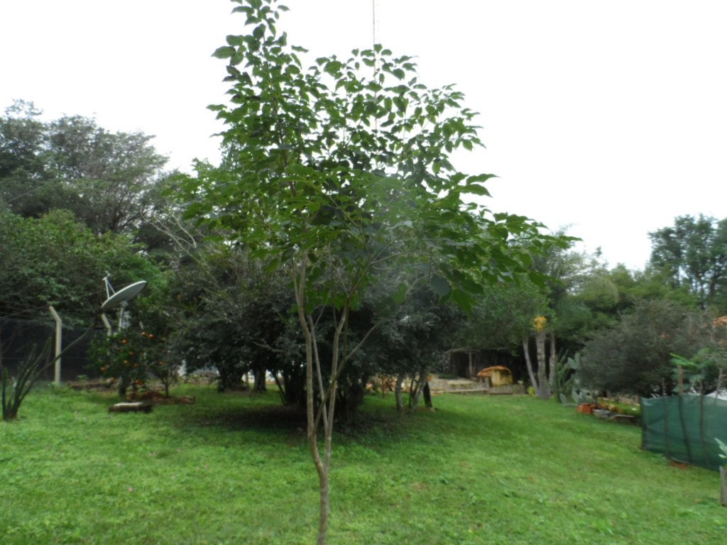 Ein herrlicher sonniger Freitag in Paraguay