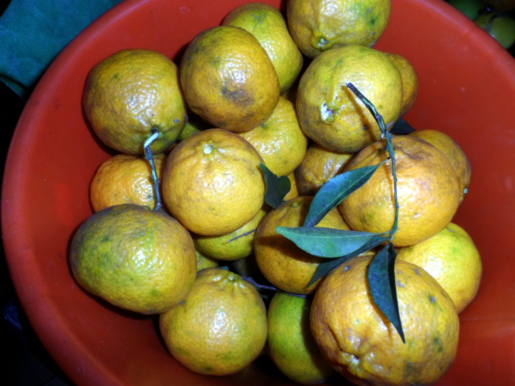 Mike der Marktmeister von San Bernardino