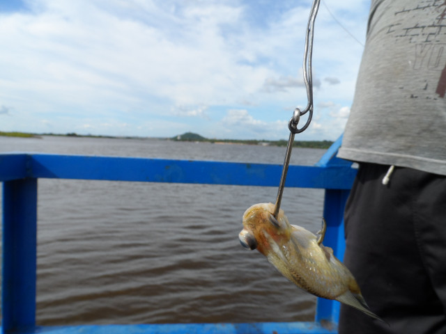 wenn man eine Reise tut........