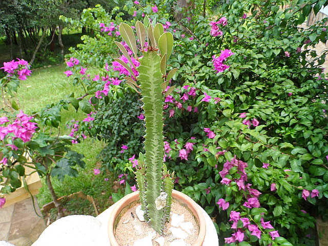 warme bis heiße Grüße nach Deutschland und anderswo