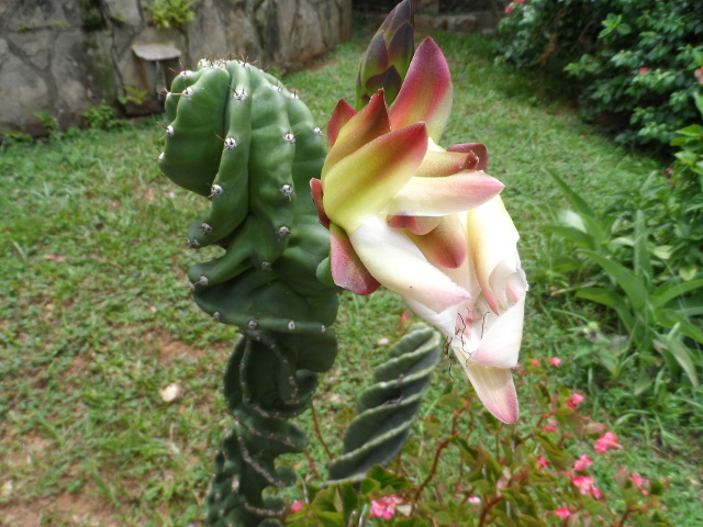 warme bis heiße Grüße nach Deutschland und anderswo