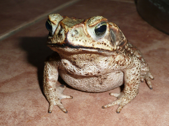 So, nun regnet es......