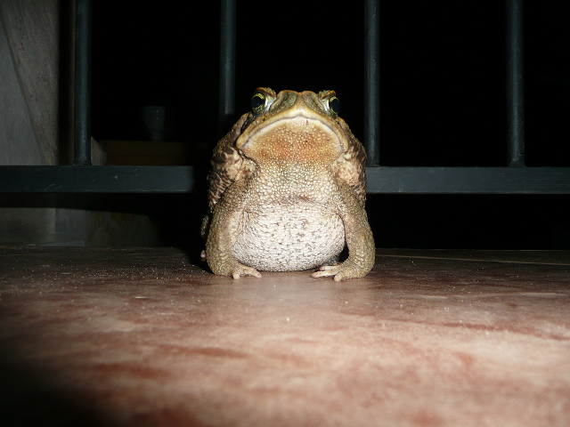 So, nun regnet es......