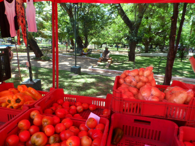 Neuröffnung Markt San Bernardino