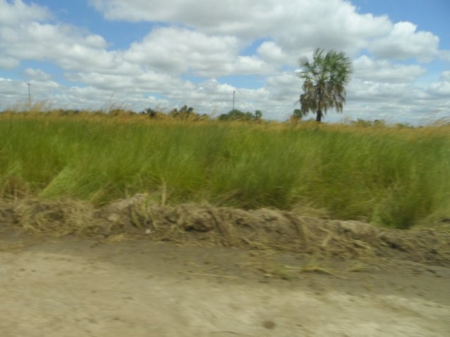 Freitagseinkaufstour nach Argentinien