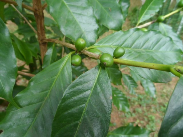 verregneter Ostersamstag