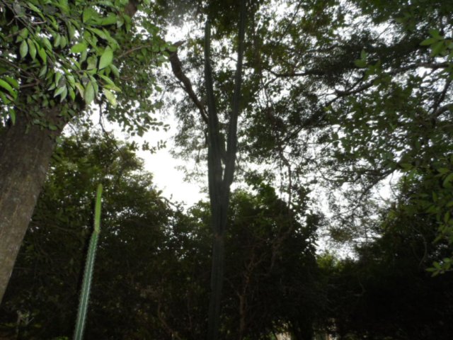 verregneter Ostersamstag