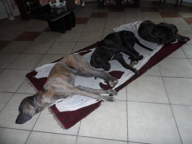 verregneter Ostersamstag