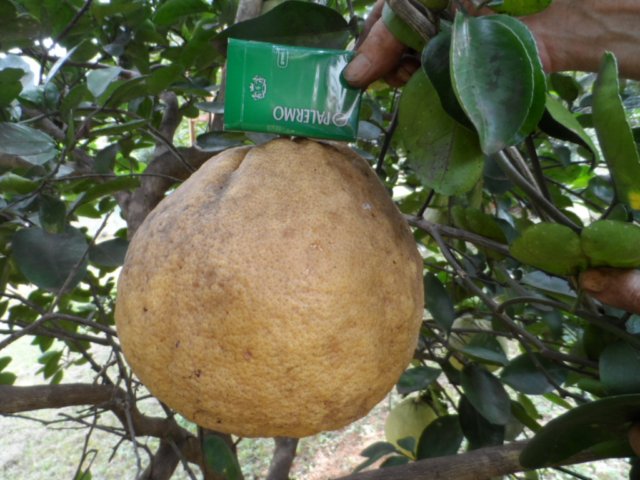 verregneter Ostersamstag